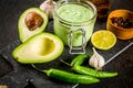 Guacamole with rye toasts Royalty Free Stock Photo