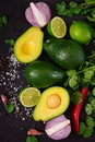 Guacamole sauce ingredients - avocado, onion, pepper chili, garlic, cilantro, lime Royalty Free Stock Photo