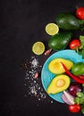 Guacamole sauce ingredients - avocado, tomato, onion, pepper chili, garlic, cilantro, lime Royalty Free Stock Photo