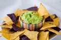 Guacamole with tortilla chips Royalty Free Stock Photo