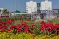 Guadalajara, Jalisco Mexico. January 8, 2023. Red poinsettia flowers decorating the Glorieta Minerva