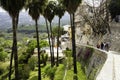 Guadalest, province of Alicante Spain- April 21, 2018: The wall of the famous Guadalest castle on one side and tall palm trees on