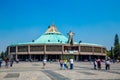 Guadalupe Basilic with blue sky Royalty Free Stock Photo