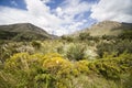 Guadalupe Mountains