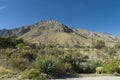 Guadalupe Mountains formation