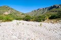Guadalupe Mountains National Park Royalty Free Stock Photo