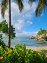 Guadeloupe french carribean island. view of the carribean sea under a palm with a view on the mountain. enjoying summer nature