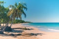 Guadeloupe, French West Indies, muted colors Royalty Free Stock Photo