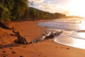 Guadeloupe sandy beach - Plage de la Perle Royalty Free Stock Photo