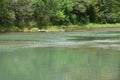 Guadelupe River View and Rapids