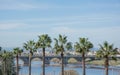 Guadiana river bridge in Badajoz, Spain with palm trees