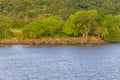 Guaiba lake with rocks and trees