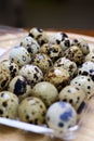 Quail Eggs as morning breackfast.