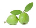 Guajava