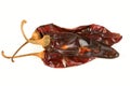 Guajillo Chiles