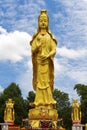 Guan yin statue