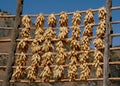 Guan Yin Xie, China: Corn Drying on Wooden Poles