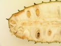 Guanabana soursop tropical fruit brazilian detail Sao Paulo Brazil