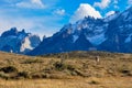 Guanaco in Parque Nacional Torres del Paine, Chile Royalty Free Stock Photo