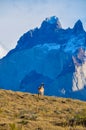 Guanaco in Parque Nacional Torres del Paine, Chile Royalty Free Stock Photo