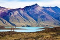 Guanaco is a wild humpbacked camel