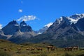 Guanacos in Torres del Paine National Park, Chile