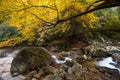 Guangwu mountain in autumn Royalty Free Stock Photo