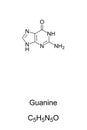 Guanine, G, Gua, nucleobase, chemical formula and skeletal structure