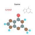 Guanine. Chemical structural formula and model of molecule. C5H5N5O