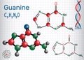 Guanine G, Gua - purine nucleobase, fundamental unit Royalty Free Stock Photo