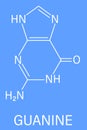 Guanine G purine nucleobase molecule. Base present in DNA and RNA. Skeletal formula.