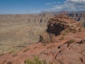 Guano point, Grand Canyon, Colorado river, Arizona, United States of America