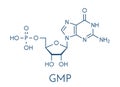 Guanosine monophosphate GMP, guanylic acid RNA building block molecule. Guanylate salts are used as umami flavor enhancers in.