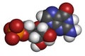 Guanosine monophosphate (GMP, guanylic acid) RNA building block molecule. Guanylate salts are used as umami flavor enhancers in