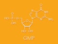 Guanosine monophosphate (GMP, guanylic acid) RNA building block molecule. Guanylate salts are used as umami flavor enhancers in