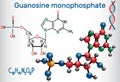 Guanosine monophosphate GMP molecule, it is an ester of phosph