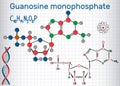 Guanosine monophosphate GMP molecule, monomer in RNA . Structu