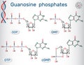 Guanosine phosphates guanosine triphosphate, guanosine diphosph Royalty Free Stock Photo
