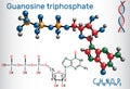 Guanosine triphosphate GTP molecule, it is used