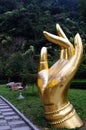 Guanyin bodhisattva's hand