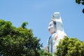 Guanyin in chinese temple