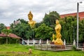 The Guanyin statue at Wat Pradoo ChimPhli temple Royalty Free Stock Photo