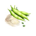 Guar gum or guaran, galactomannan polysaccharide extracted from guar beans t has thickening and stabilizing properties