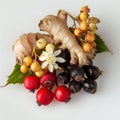 guarana berries, ginger root, and elderflower