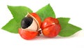 Guarana, 3d ingredient