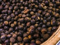 Guarana seeds Paullinia cupana Sapindaceae Family, with selective focus Royalty Free Stock Photo