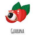 Guarana superfood fruit for template farmer market design, label and packing. Natural energy protein organic food
