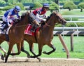 Guarana Wins the Coaching Club American Oaks