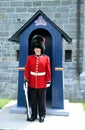 Guard Royalty Free Stock Photo
