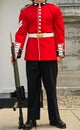 Guard at Attention - Uniform/Bodyshot Royalty Free Stock Photo